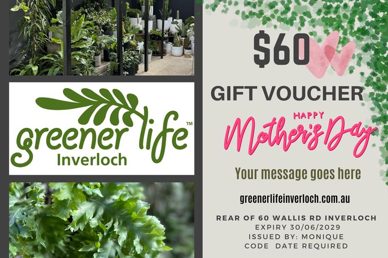 $60 for $50 Mothers Day Gift voucher