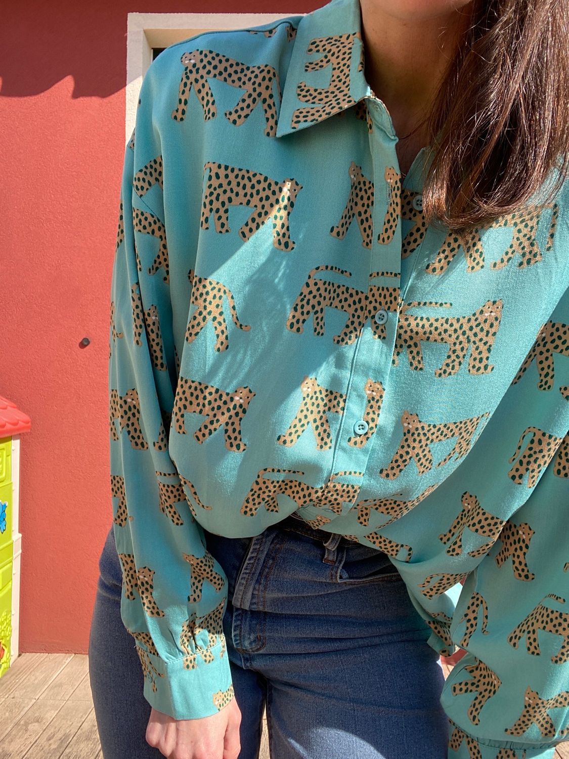 Camicia 🐆