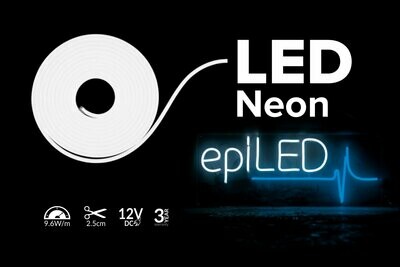 LED Neon