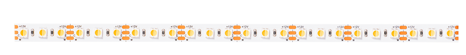 DualWhite-120-12V