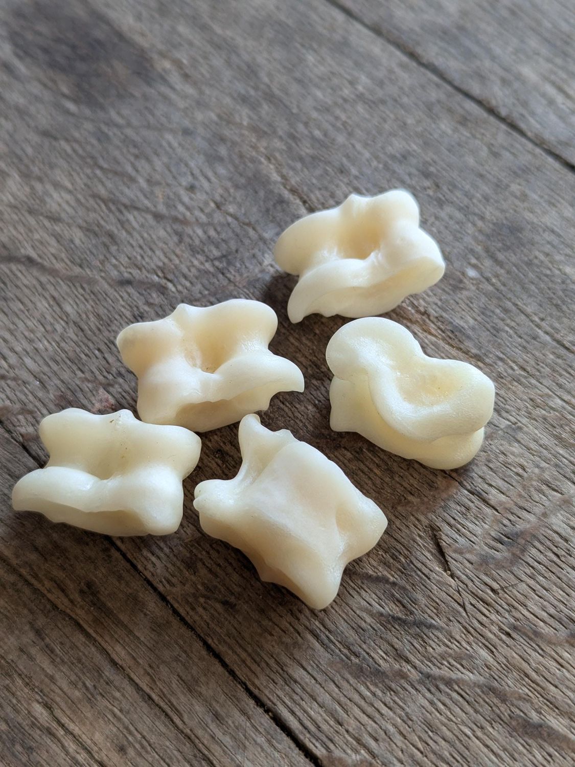 Astragale vom Reh | Knochenwürfel | Shagai | Knucklebones | Historisches Würfelspiel | Alternative zu Schaf- & Ziegen-Astragalen Astragale vom Reh – Historisches Würfelspiel