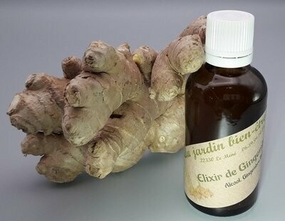 Elixir de Gingembre