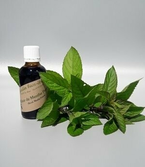 Elixir de Menthe Poivrée