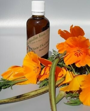 Elixir de  Pavot de Californie ou Eschscholtzia