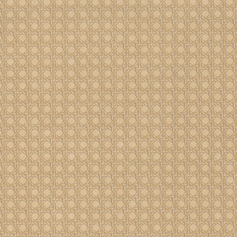 CBBA 8434 42 10