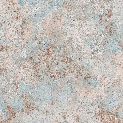 FW249-1919 FW249-1919