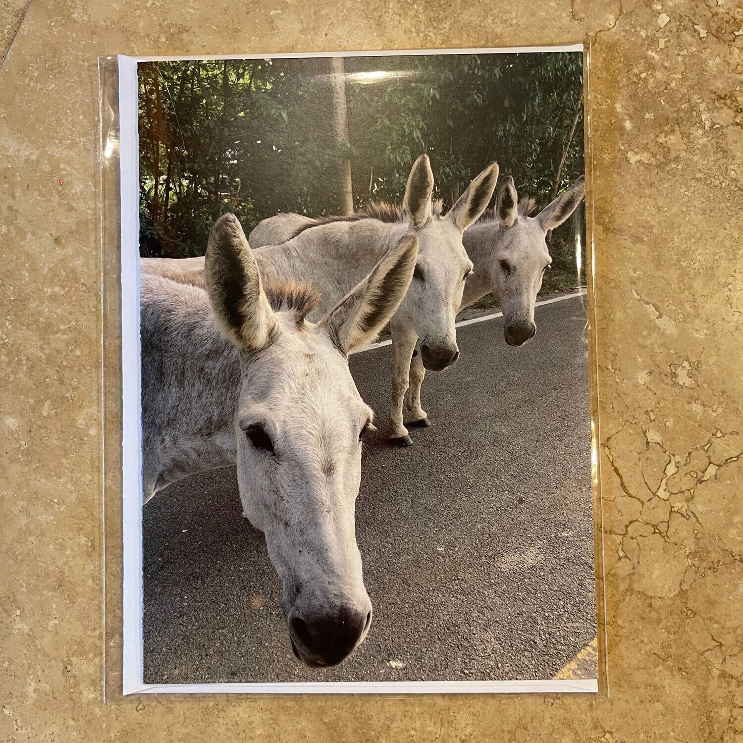 JD GREETING CARD