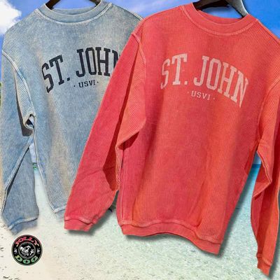 LONGSLEEVE/HOODIES