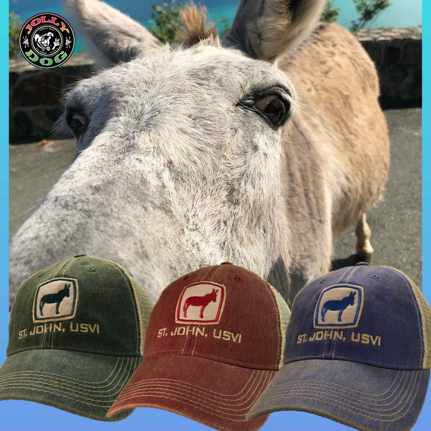 L2 DONKEY OFT