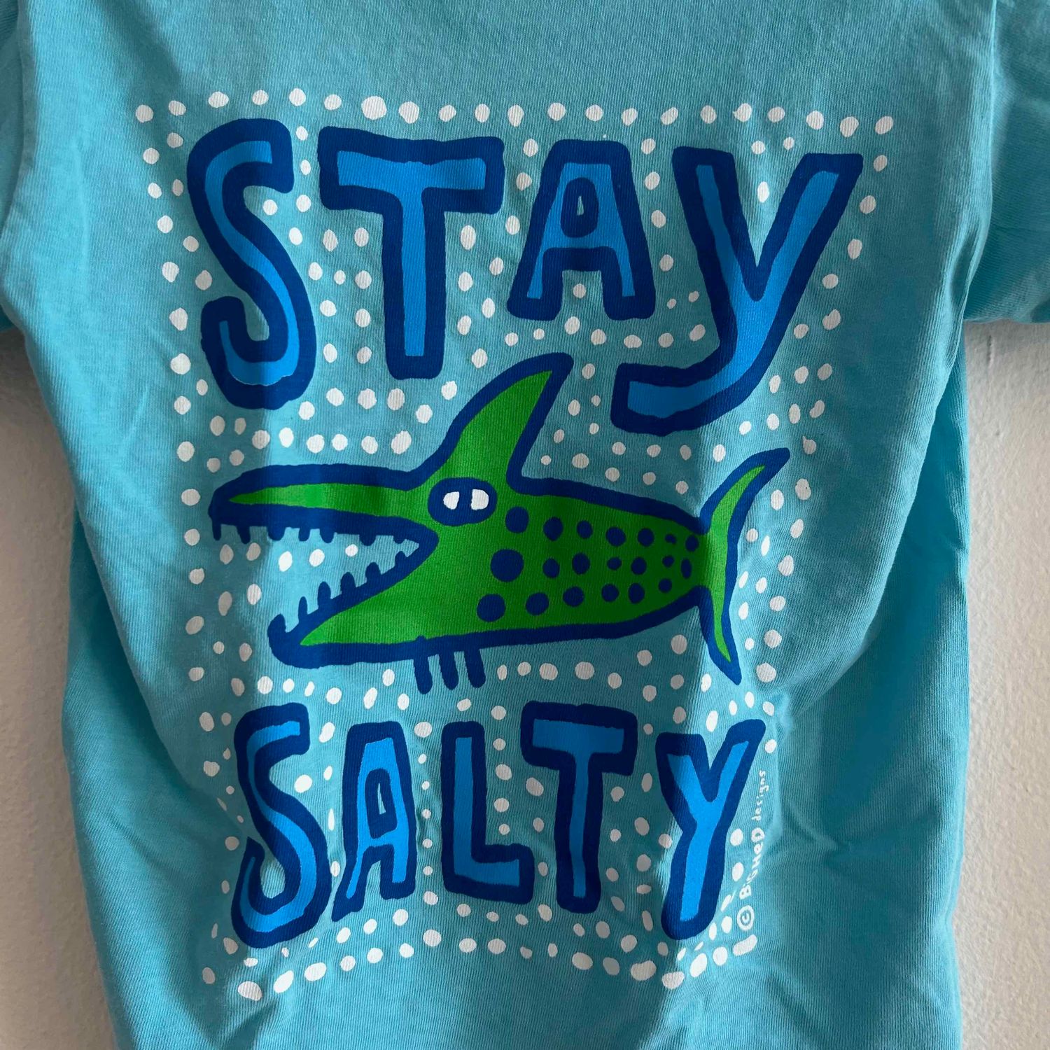 BHY SALTY FSH