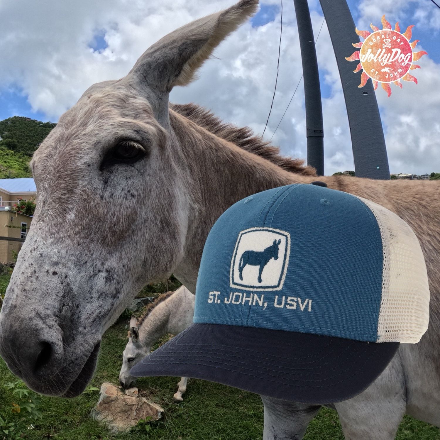 L2 DONKEY OFT