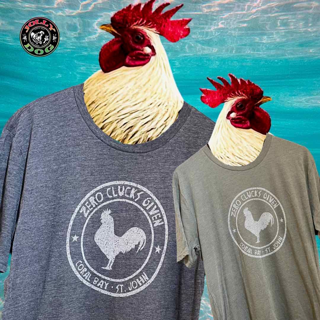 ZERO CLUCKS SST ZERO CLUCKS SST