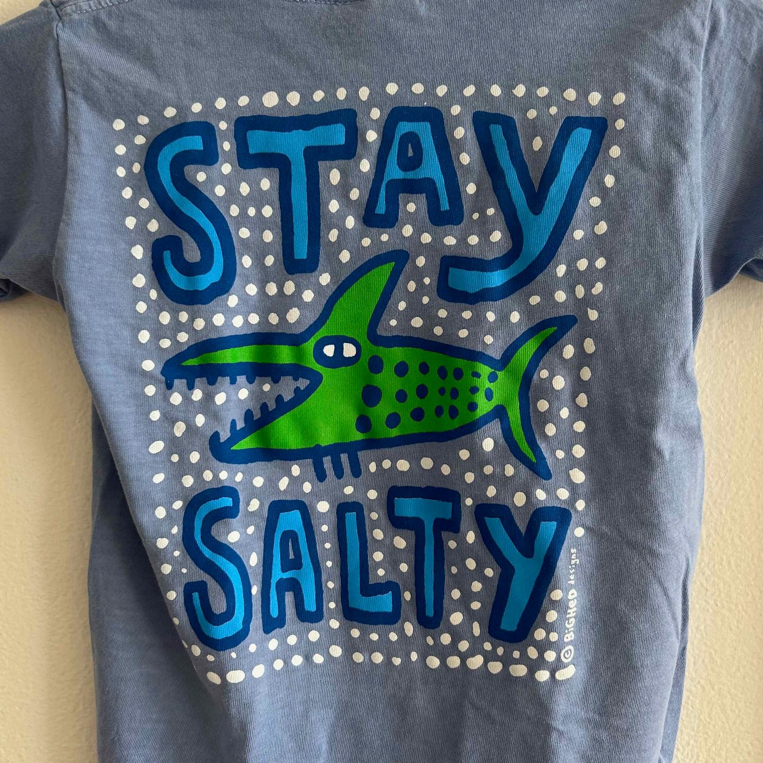 BHY SALTY FSH YOUTH SST