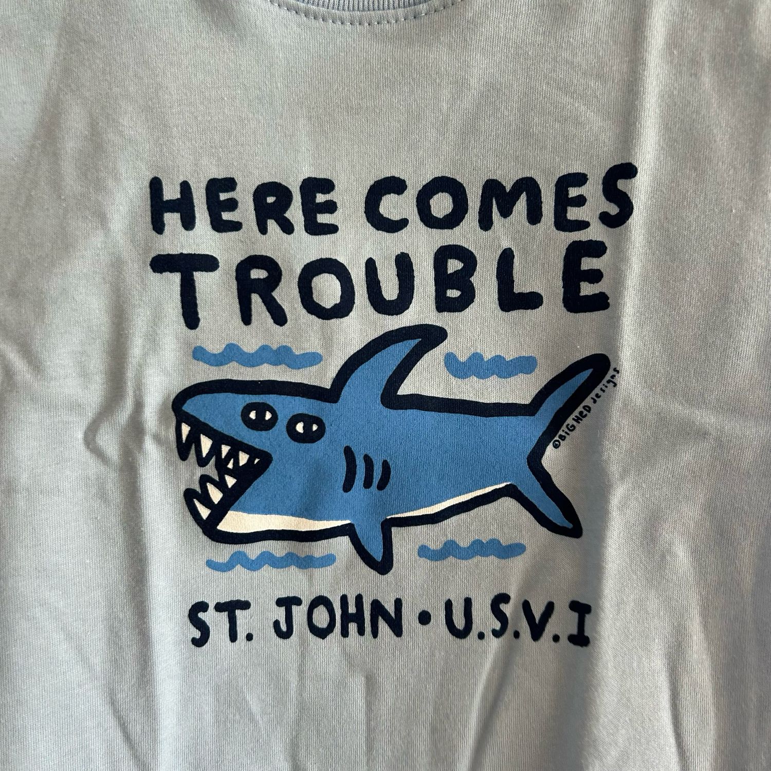 BHY TROUBLE SHARK TODDLER SST