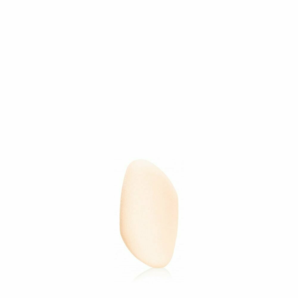 Flocked Sponge