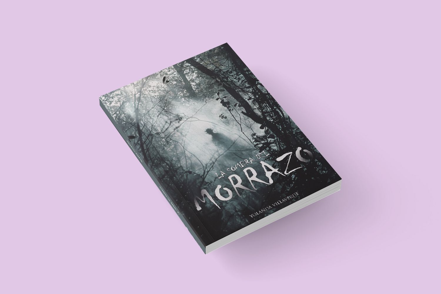 LA SOMBRA DEL MORRAZO / Yolanda Villaverde