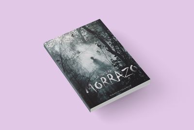 LA SOMBRA DEL MORRAZO / Yolanda Villaverde