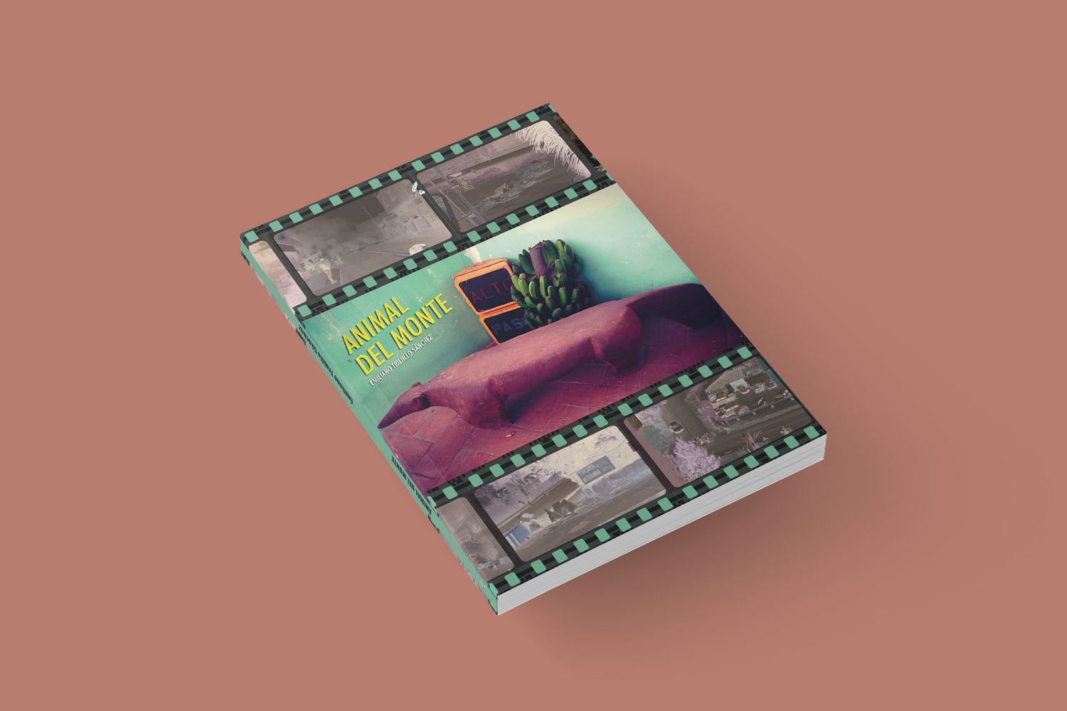 CROWDFUNDING / PACK DEDICATORIA - ANIMAL DEL MONTE