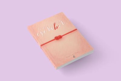El día que dejé de escribir - Daiana Ramos Ribera
