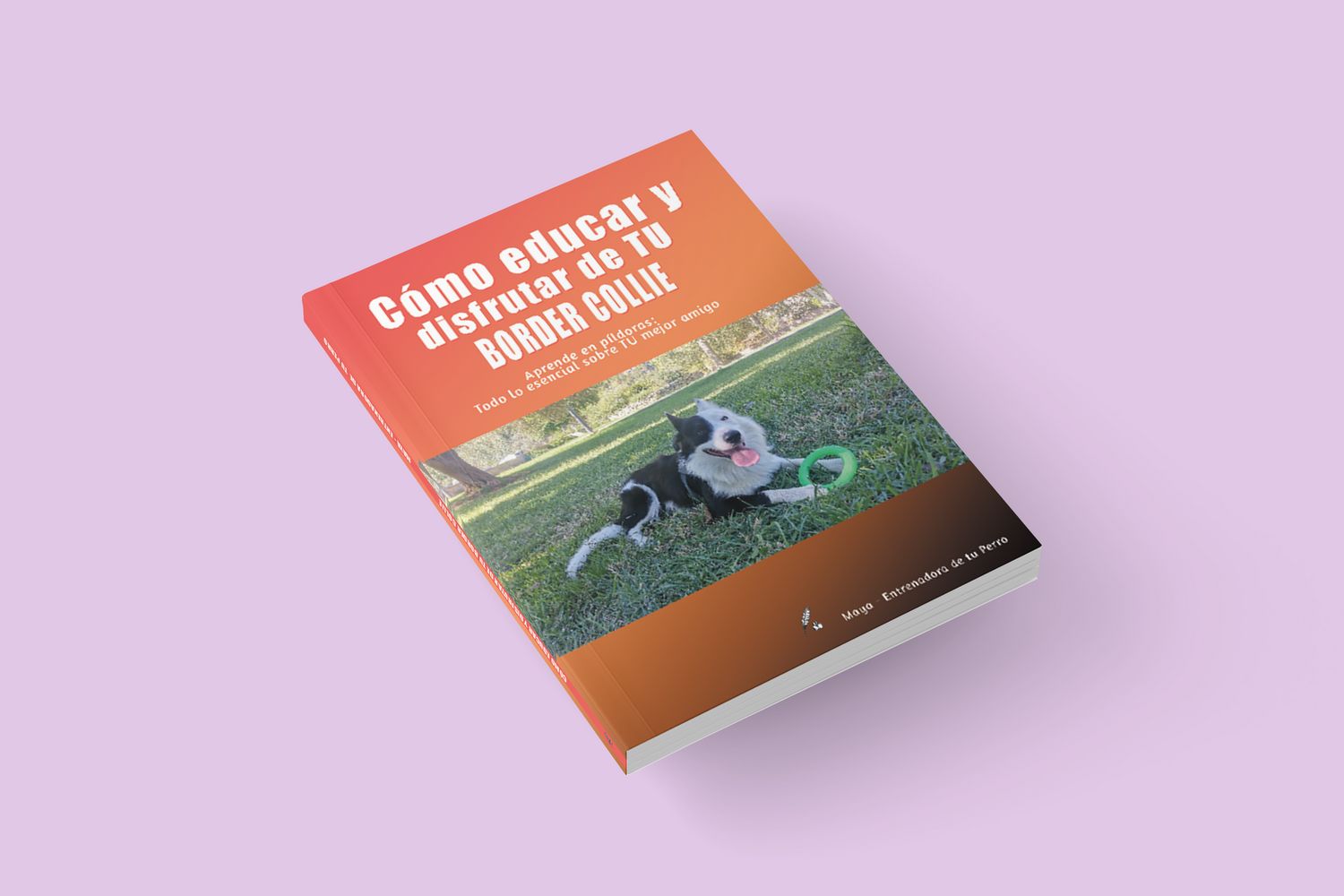 Cómo educar y disfrutar de TU Border Collie / Maya - Entrenadora de  tu perro