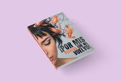 ¡POR MIS OVARIOS QUE NO VUELVO! / Concha Sánchez Seisdedos