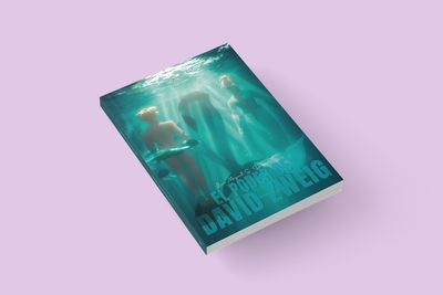 EL PODER DE DAVID ZWEIG / Luis Miguel S. Díguele EL PODER DE DAVID ZWEIG / Luis Miguel S. Díguele