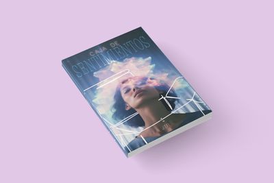 CAJA DE SENTIMIENTOS / José Román Toledo