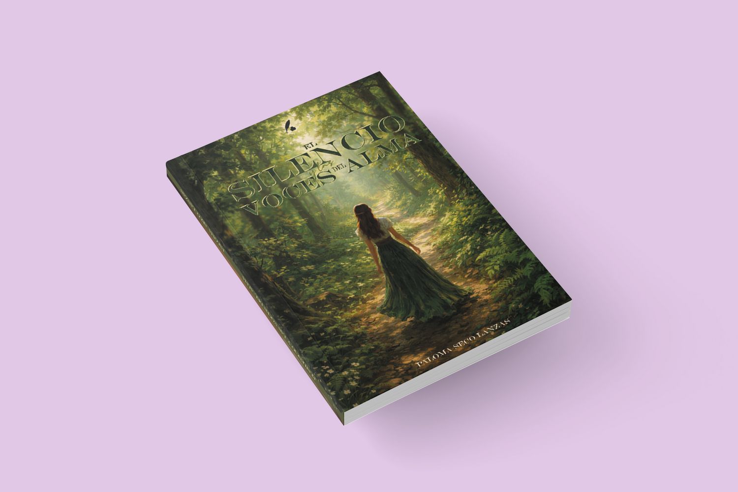 El silencio y las voces del alma  / Paloma Seco lanzas