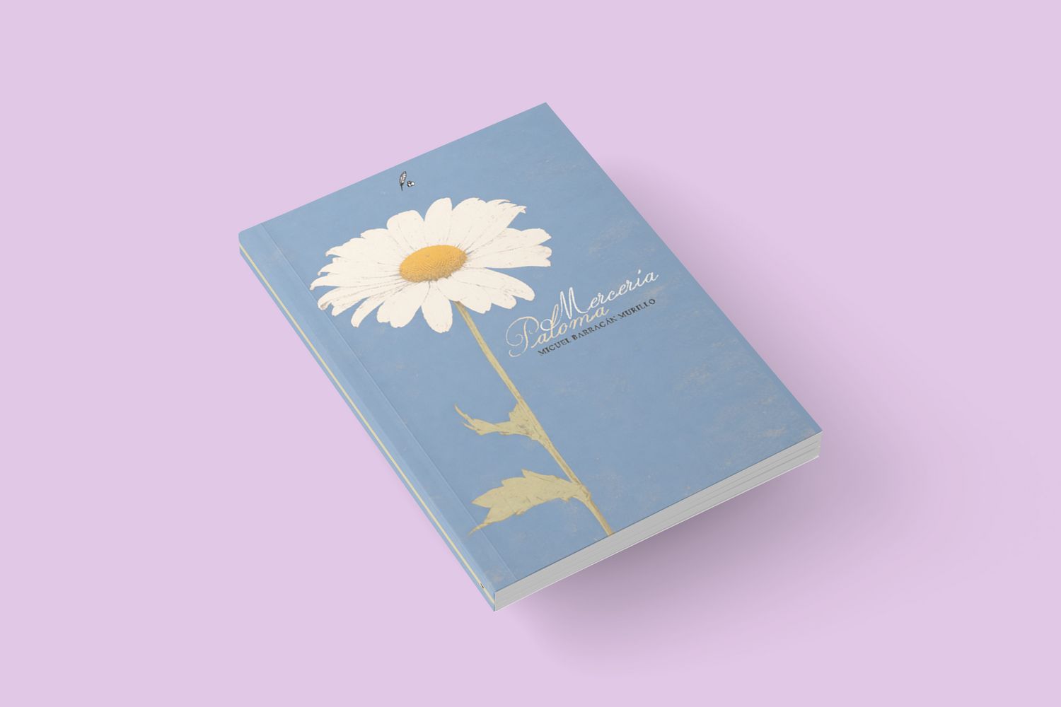 Mercería Paloma / Miguel Barragán Murillo