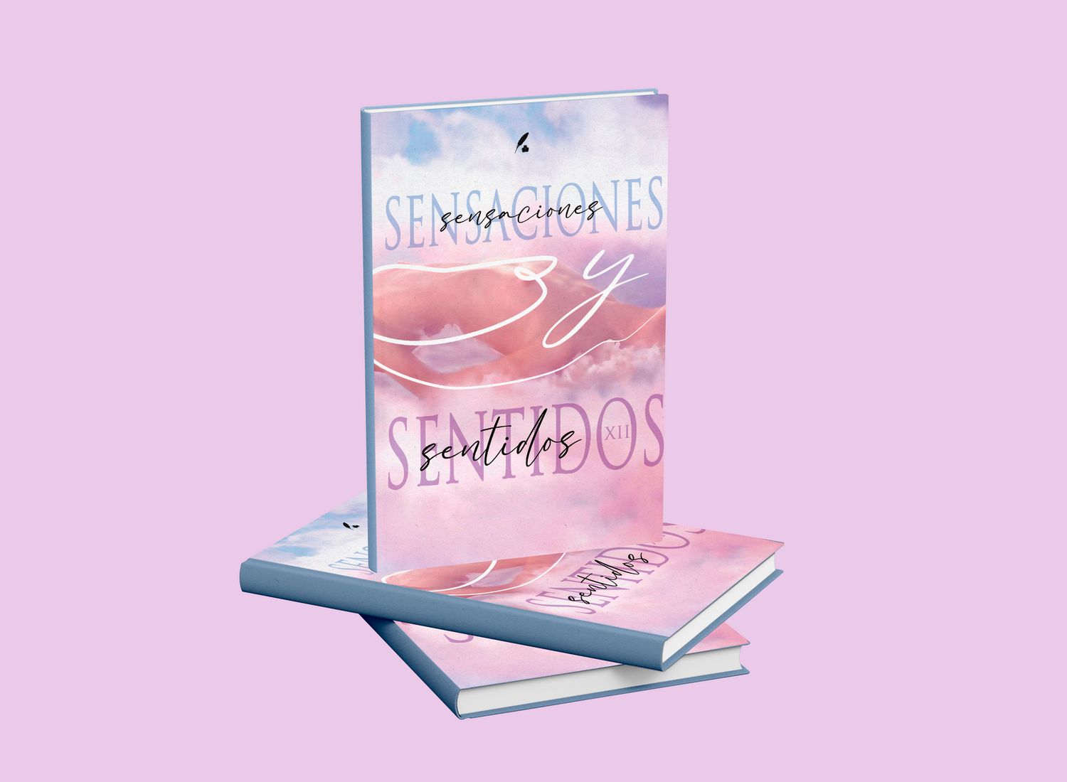 Sensaciones y sentidos XII Sensaciones y sentidos XII