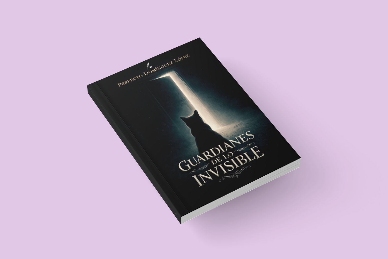 Guardianes de lo invisible/ Perfecto Domínguez López