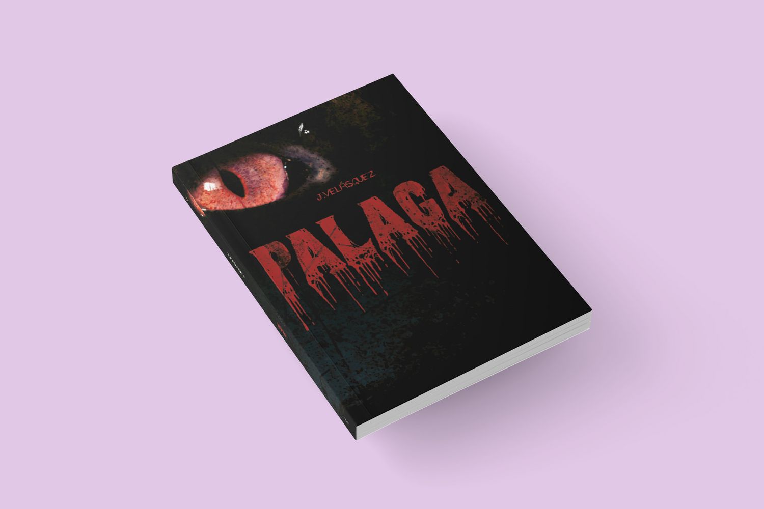 Palaga / J.Velásquez Palaga / J.Velásquez