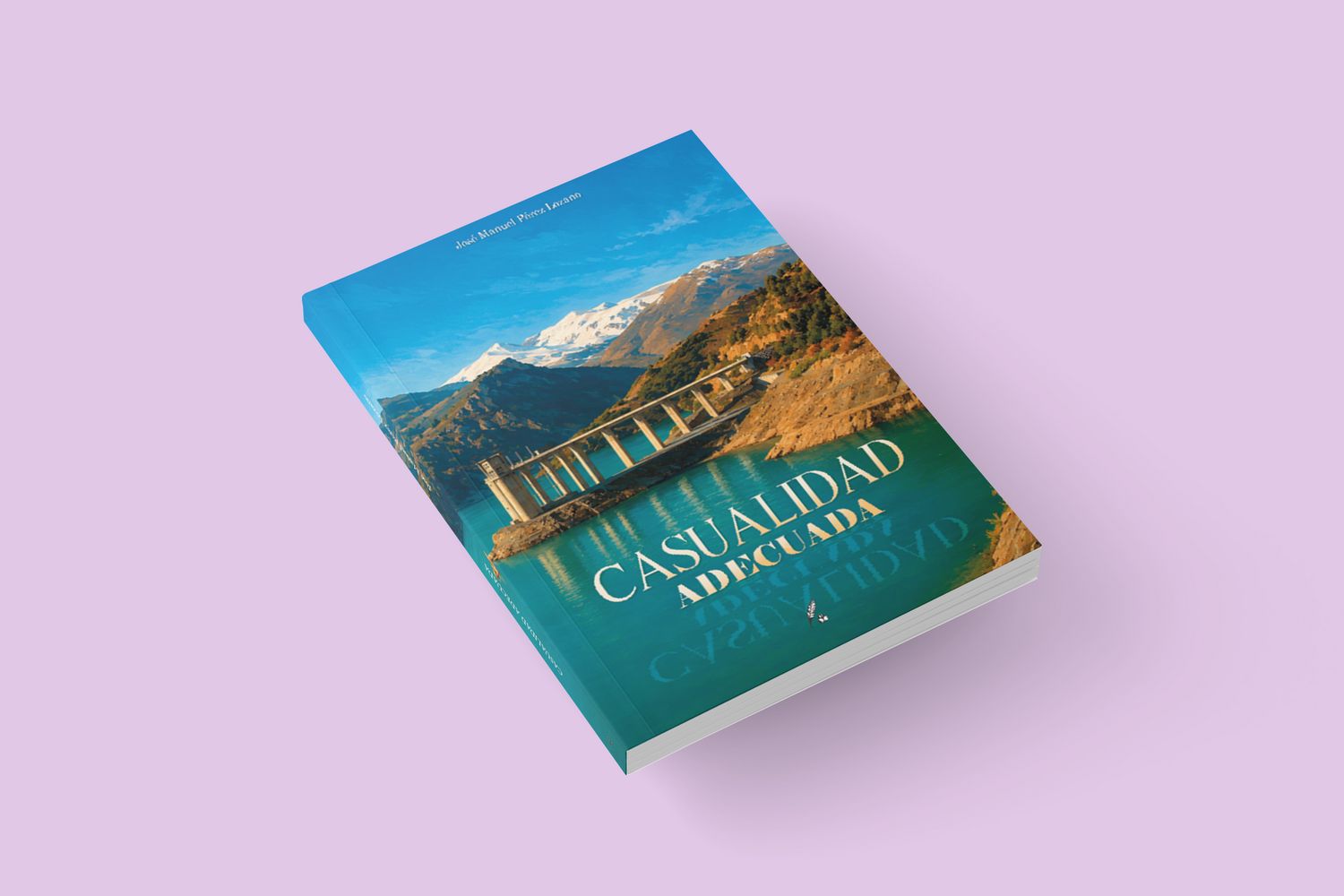 Casualidad adecuada / José Manuel Pérez Lozano Casualidad adecuada / José Manuel Pérez Lozano