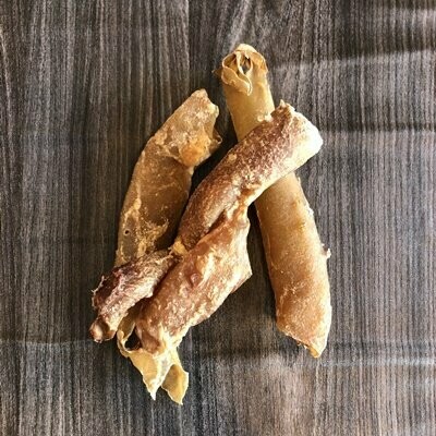 Pferde Aorta