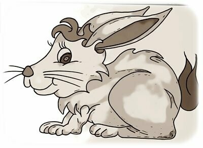 Kaninchen/Hase
