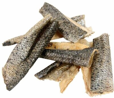 Lachs Haut