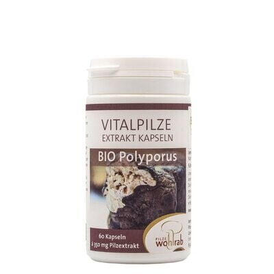 Wohlrab - Polyporus Bio Extraktkapseln Wohlrab - Polyporus Bio Extraktkapseln