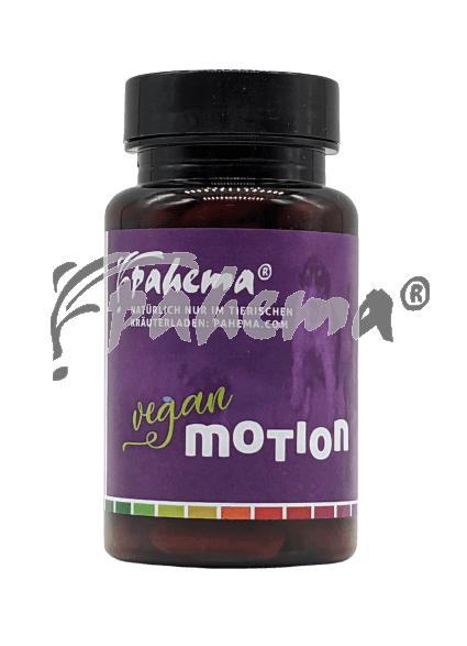 Pahema Vegan Motion