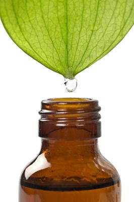 Vitalpilz Flüssigextrakt