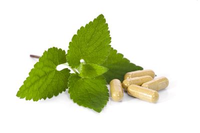 Vitalpilz Pulver Kapseln