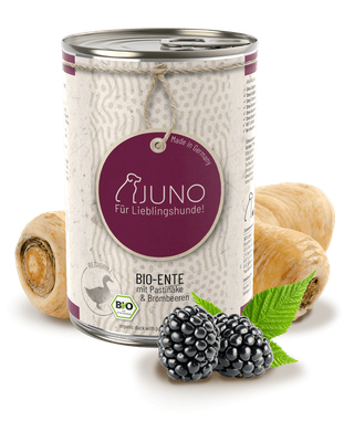 Juno - BIO-ENTE mit Bio Pastinake & Bio Brombeeren 800g
