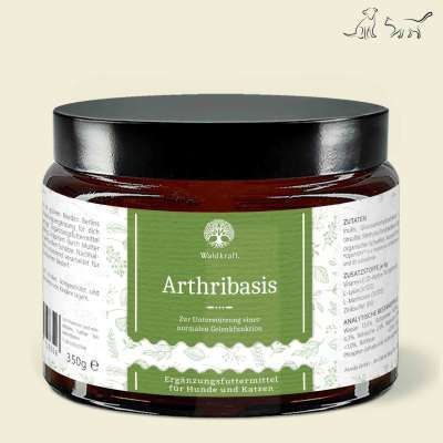 Arthribasis - Natürliche Gelenkunterstützung
