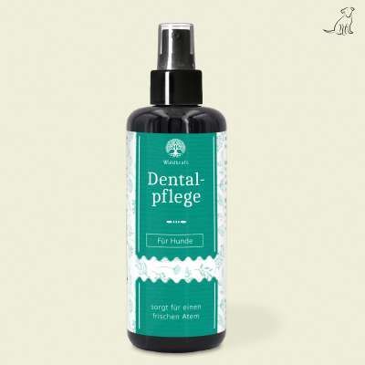 Dentalpflege für Hunde