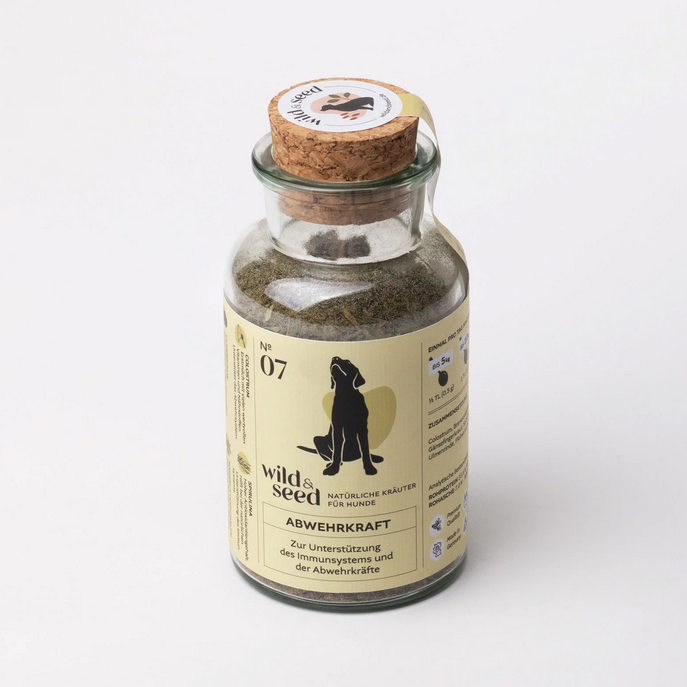 No.07 AbwehrKraft - Gestärktes Immunsystem