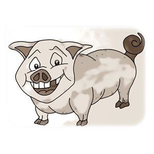 Nassfutter Schwein
