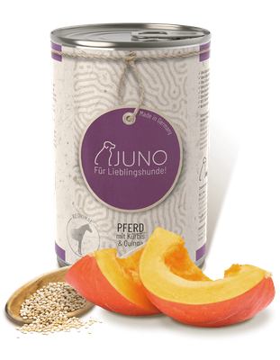 Juno -PFERD mit Bio Kürbis & Bio Quinoa 400g