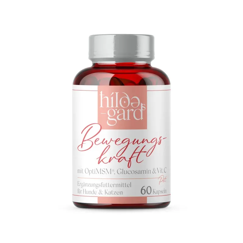 Hildegards Bewegungskraft