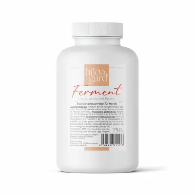 Hildegards Ferment Hildegards Ferment