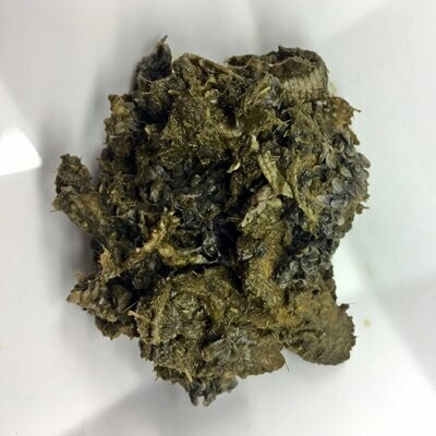 Pansen mit Blättermagen