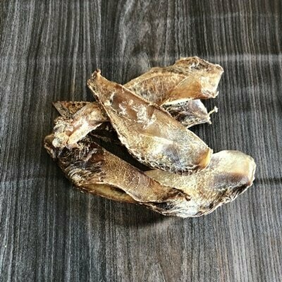 Reh Schulterblattknorpel Reh Schulterblattknorpel